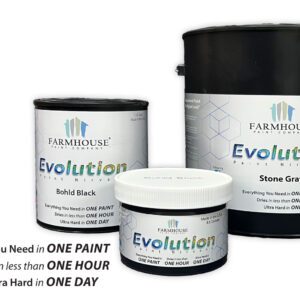 Evolution Paint